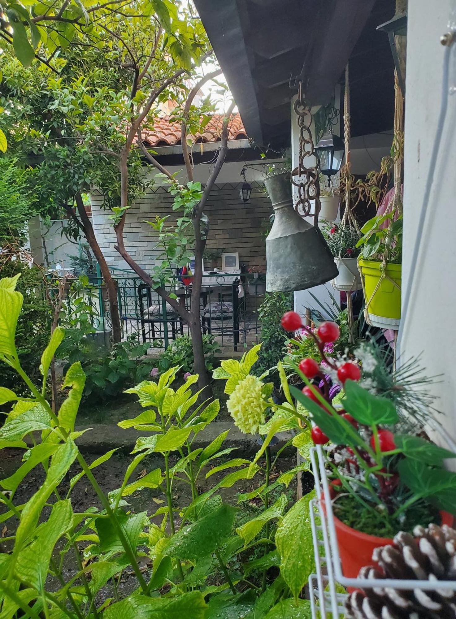Unique Traditional House, Hosted By J&G Тирана Экстерьер фото